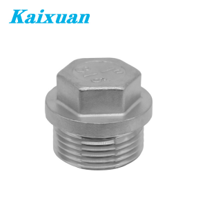 Hex Plug with Flange