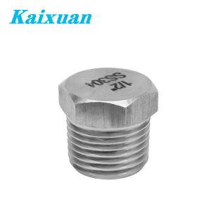 Hex Pipe Plug